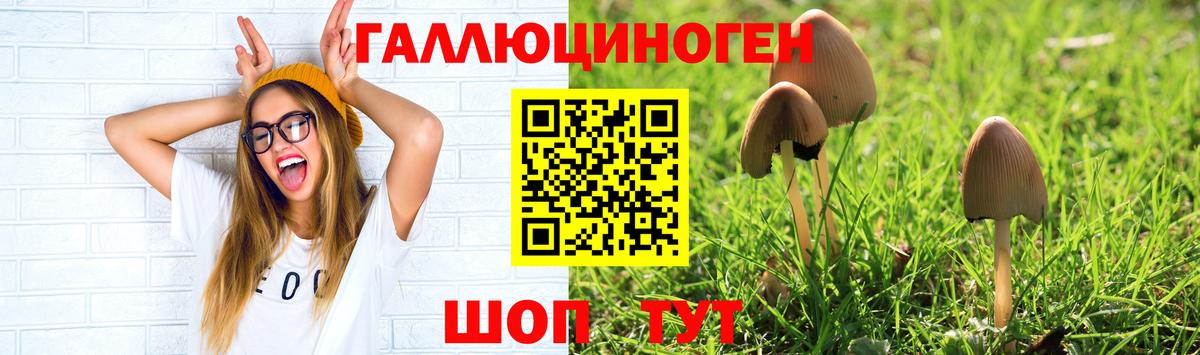 Галлюциногенные грибы GOLDEN TEACHER Кингисепп